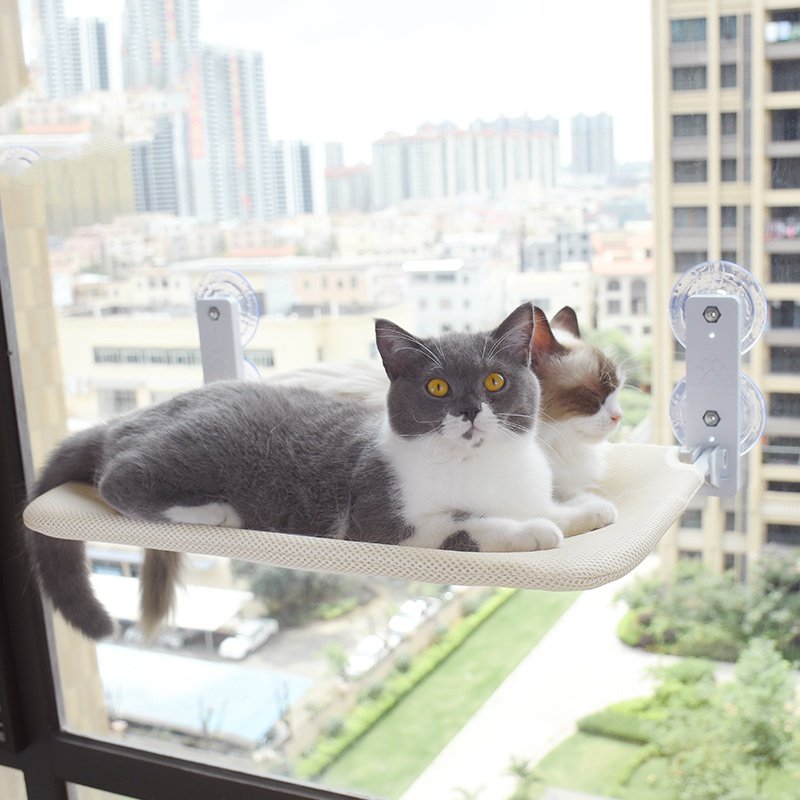 Cat Window Hammock with Suction Cups - Heavy Duty Sunbathing Cat Bed