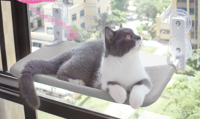 Cat Window Hammock with Suction Cups - Heavy Duty Sunbathing Cat Bed - Image 6